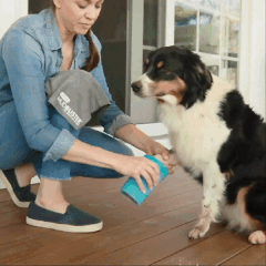 Dog Paw Cleaner Cup – Fur Buddies Co