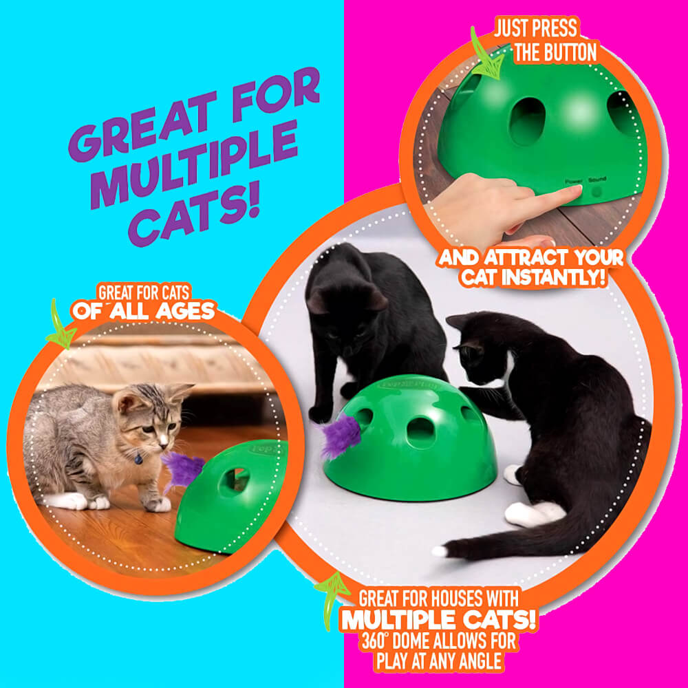 interactive cat toys with timers