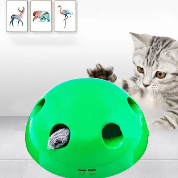 motion cat toy