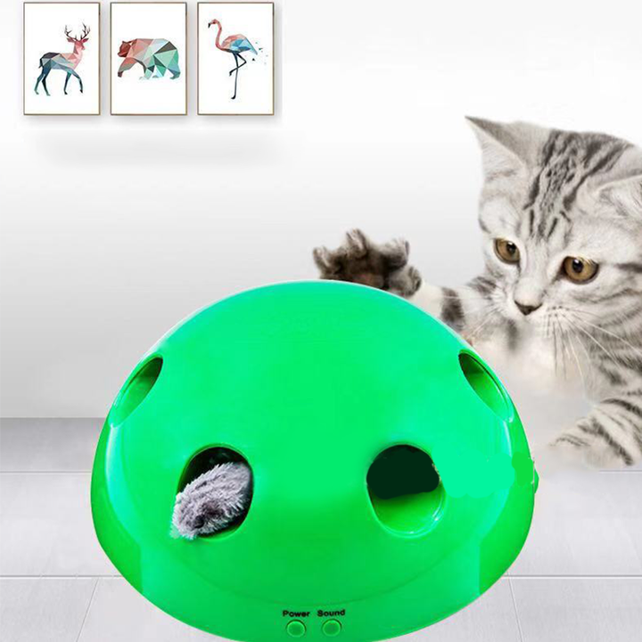 cat motion toys