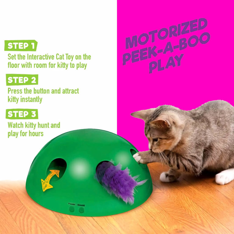 interactive motion cat toy