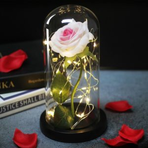 Diy Beauty And The Beast Enchanted Rose Best Gadget Store