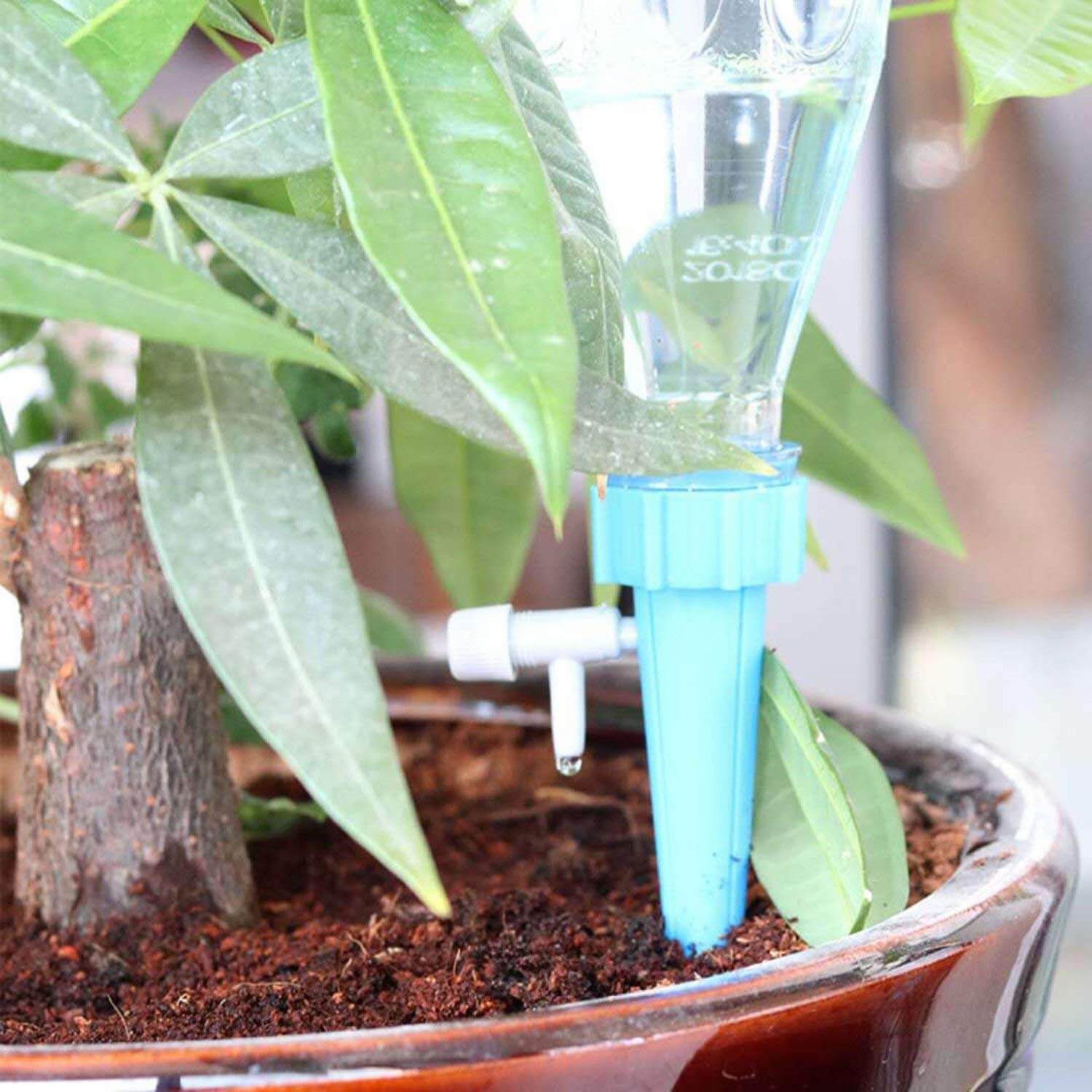 Automatic Drip Plant Self Watering Spikes(12PCS)® Best