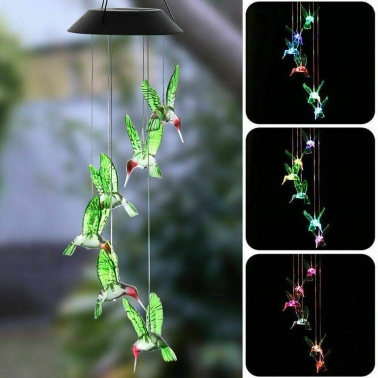 hummingbird string lights