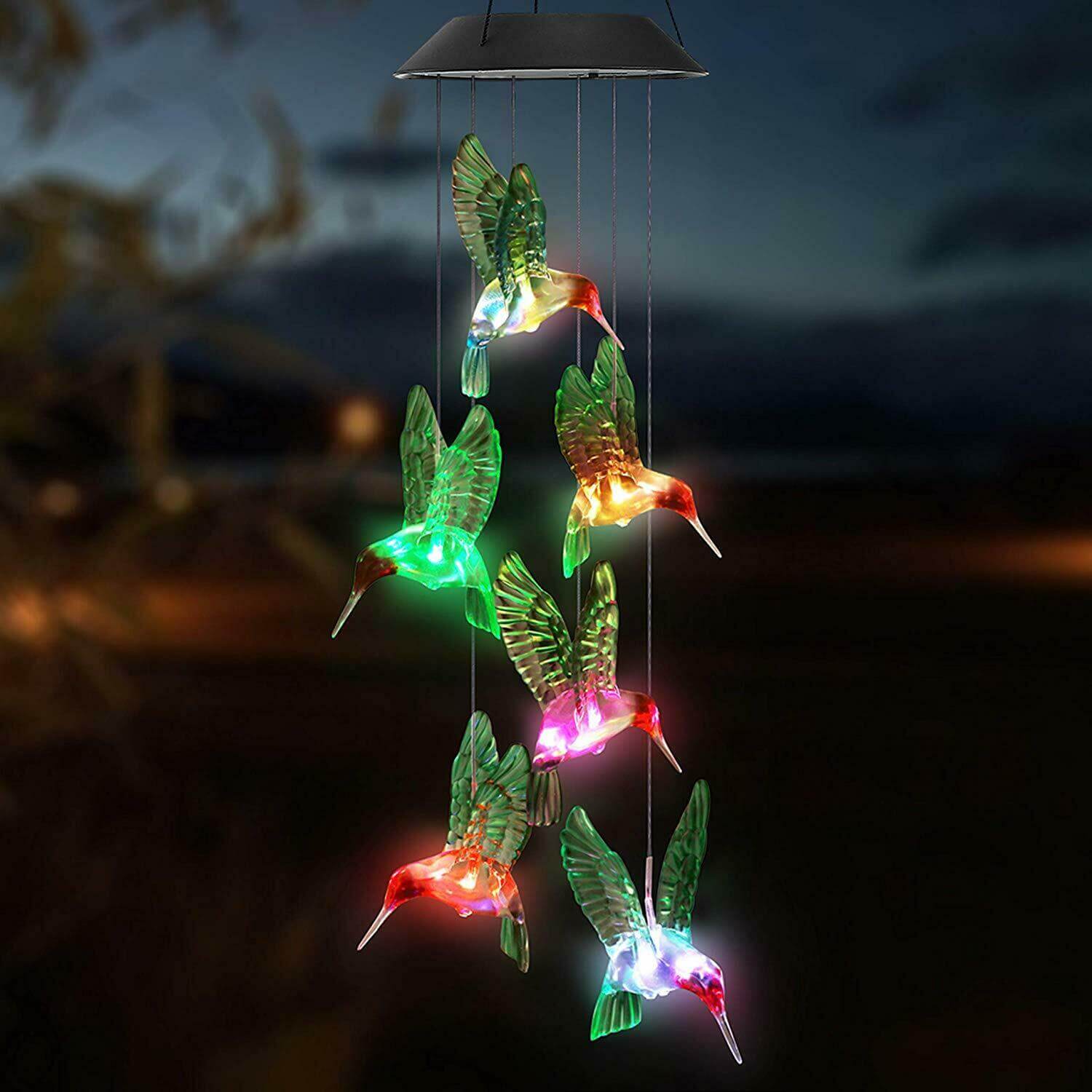 hummingbird string lights