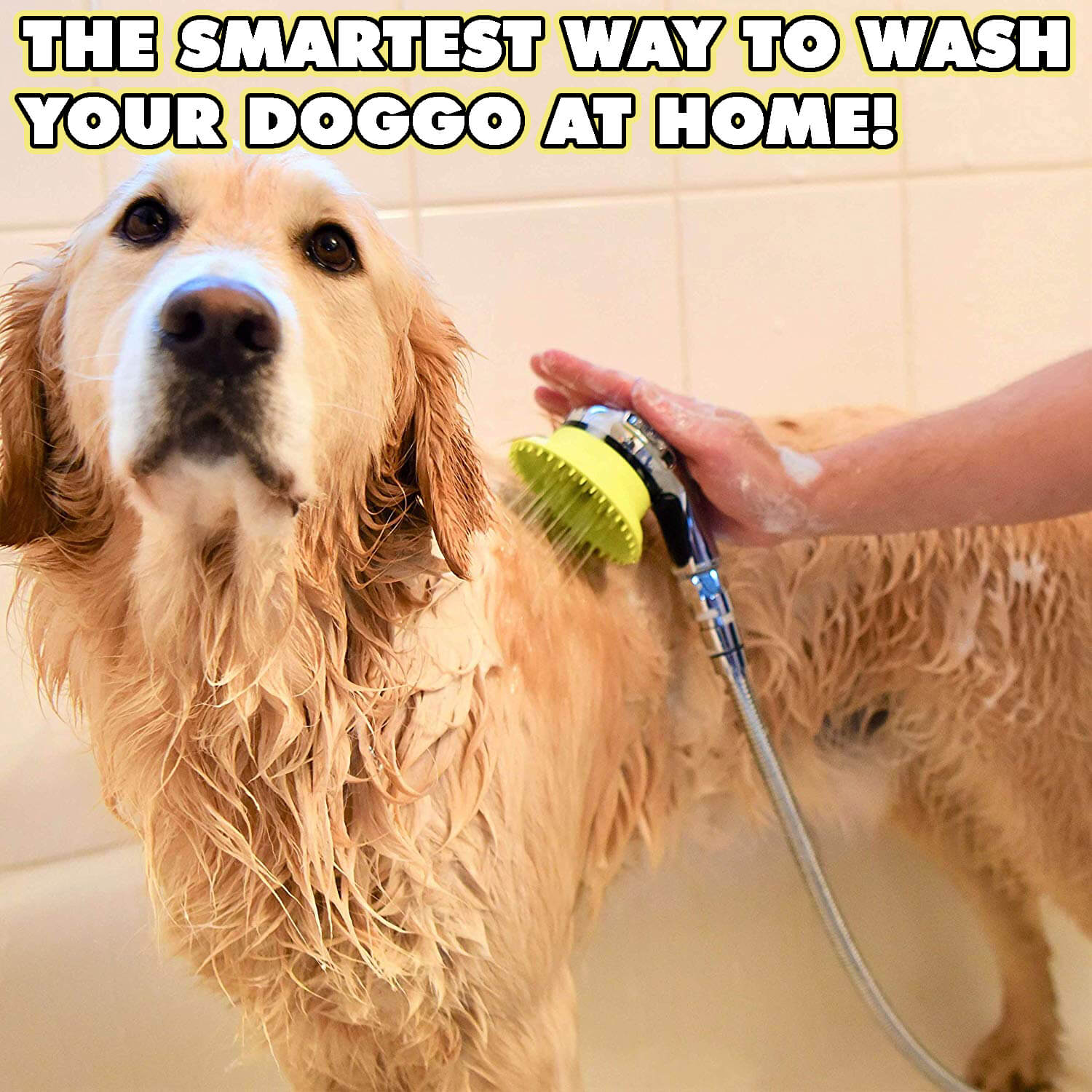 Dog Wash Kit for Shower® Best Gadget Store