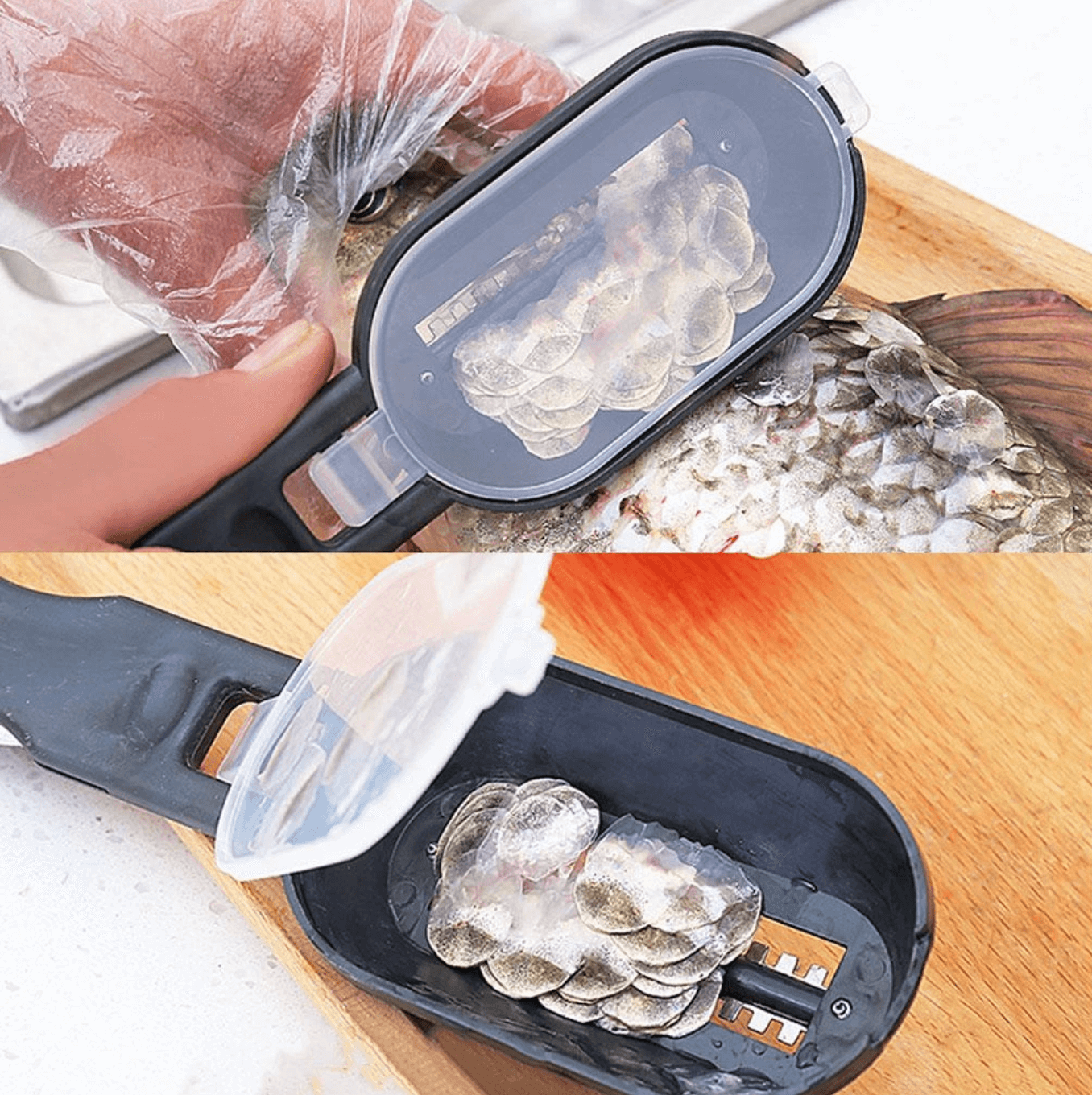 Plastic Fish Scale Scraper for Kitchen Accessories® Best Gadget Store