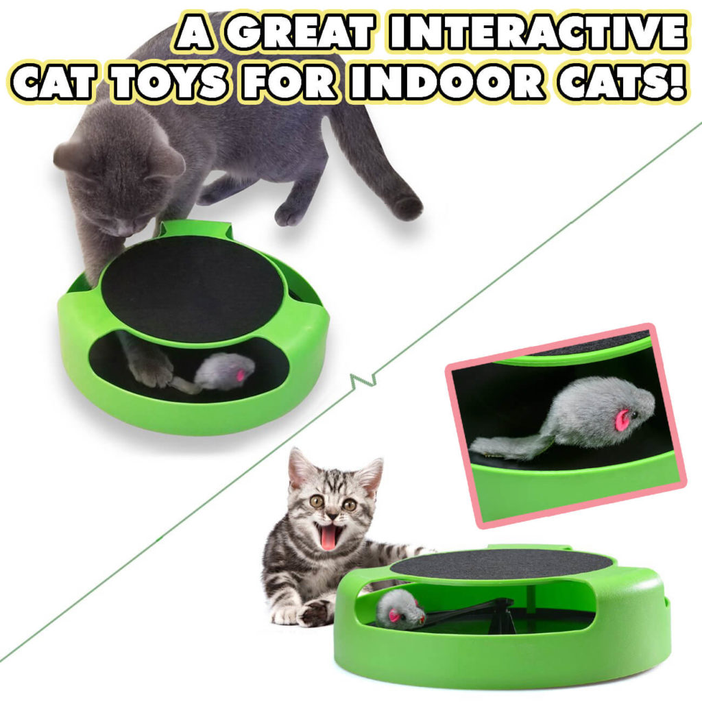 interactive mouse cat toy