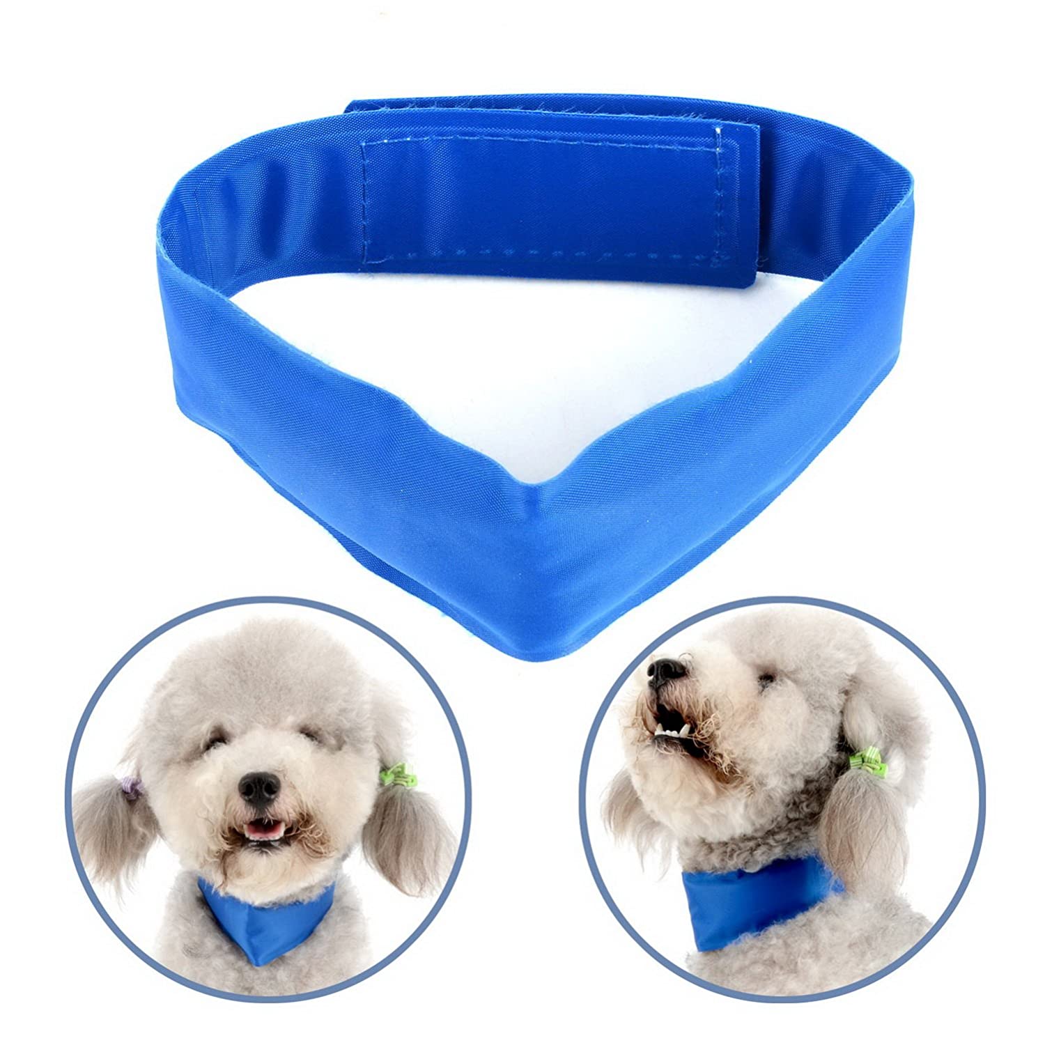 Dog Cooling Collar Blue® Best Gadget Store