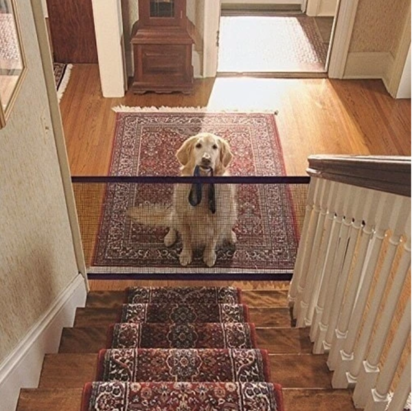 Indoor Dog Fence for Home Accessories® Best Gadget Store