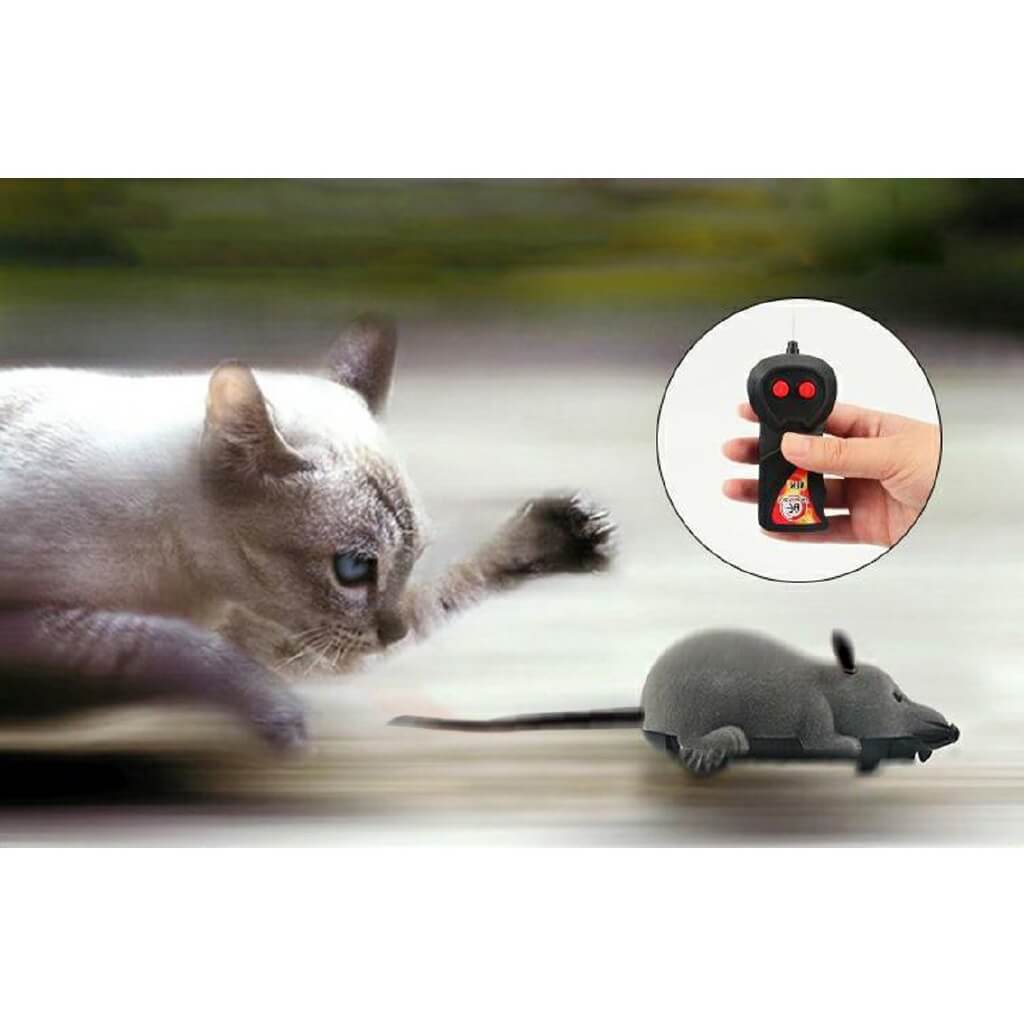 rc mouse cat toy