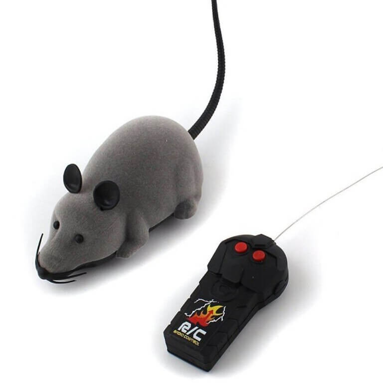 rc mouse for cats